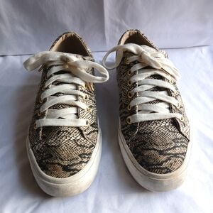 Keds Python Print Canvas Sneakers